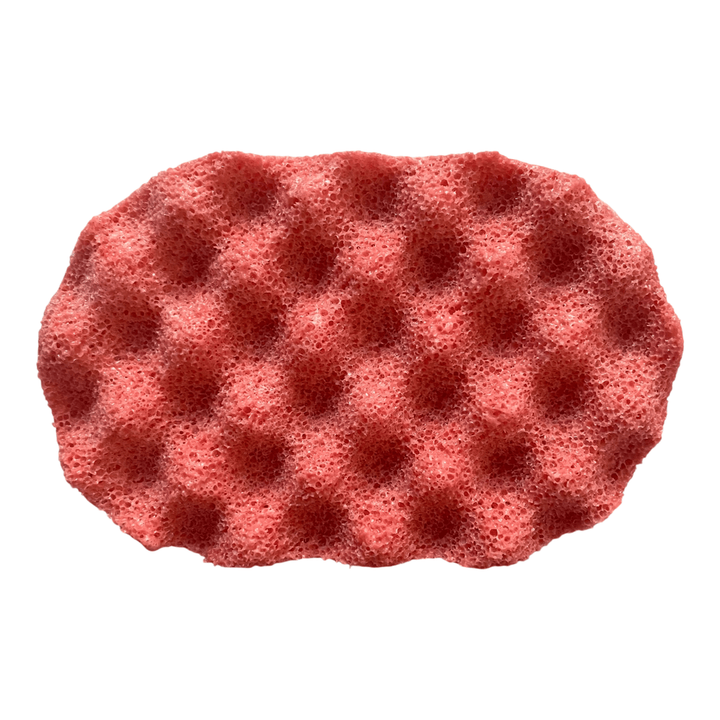 Bom Dia Sunshine Exfoliating Soap Sponge (For Her) Atlast Creations 4