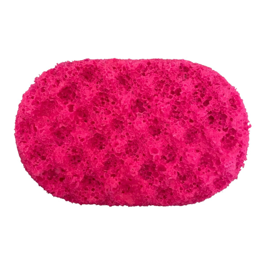 Ice Pixie Exfoliating Soap Sponge Atlast Creations 4